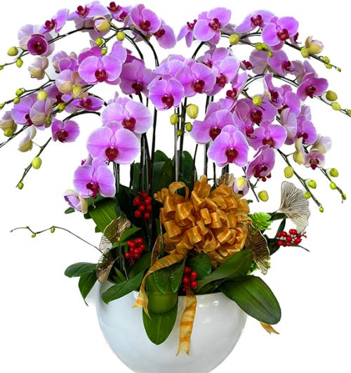 Orchids for Mom 23