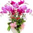 potted orchids for mom 24
