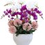 potted orchids for mom 25