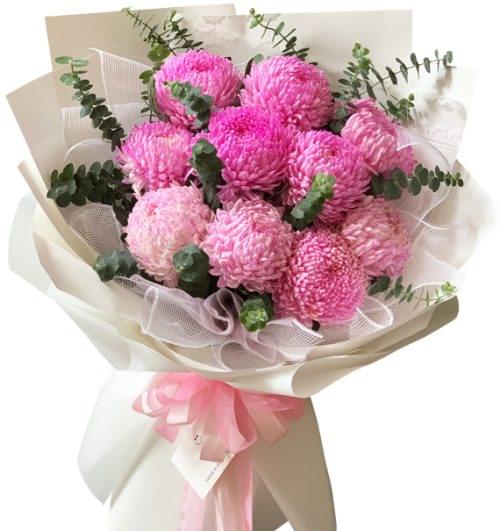 peony chrys flowers 11
