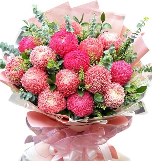peony chrys flowers 14
