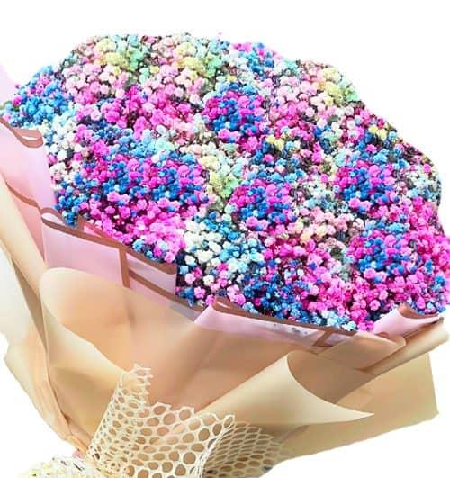 mixed baby breaths flowers 500x531